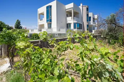 a house on the hill with a bunch of vines at Ariadne Apartment in Daratso