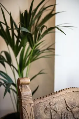 a wooden chair with a plant in the background at Artemide city places-Cozy Rooms in Chania Town