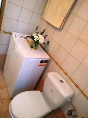 a bathroom with a toilet with flowers on top of it at OLIVE BREEZE in Kissamos