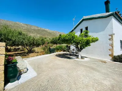 a building with a tree in front of it at The Green Home in Afráta