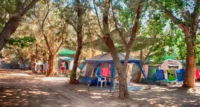 a row of tents in the shade of trees at Camping Nopigia in Kissamos