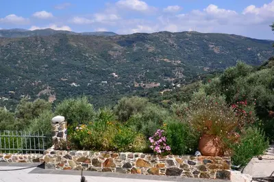 a garden with flowers and plants on a mountain at Polios in Avdhoulianá