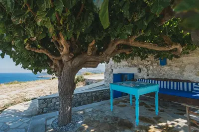 a blue table under a tree next to a bench at Karavos View - An artists' hideaway Paradise in Kalyves