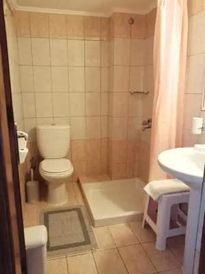 a bathroom with a toilet and a shower and a sink at Oasis Apartments in Frangokastello