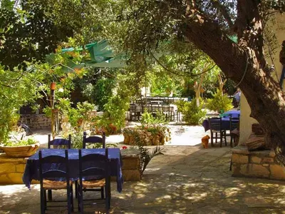 a table with a blue table cloth sitting under a tree at Group Accomodation, Heliopetra Studios And Houses in Douliana