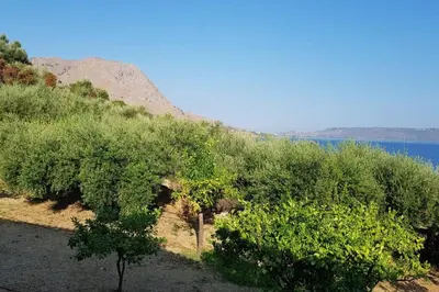 a group of trees on a hill next to the water at Villa Melpomeni in Sinoikismós Plakálona