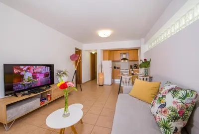 a living room with a couch and a tv at Manolia Dream Apartment 30m to the beach in Agia Marina Nea Kydonias