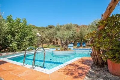 a swimming pool in a yard with trees at Olive Farm in Agia Marina Nea Kydonias