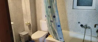 a bathroom with a toilet and a shower curtain at Riza Falasarna Apartments in Falasarna