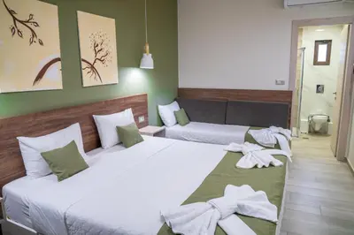 two beds in a room with green walls at Lafo Rooms in Elafonisi