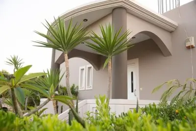 a house with palm trees in front of it at Villa sotiris in Kissamos