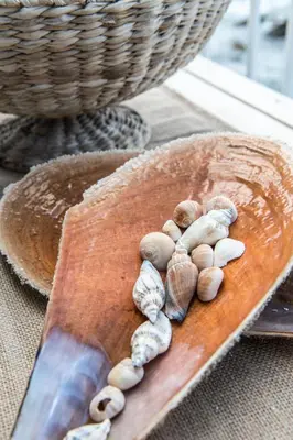 a pile of shells on a cutting board next to a basket at Dream House Efi in Ravdhoúkha