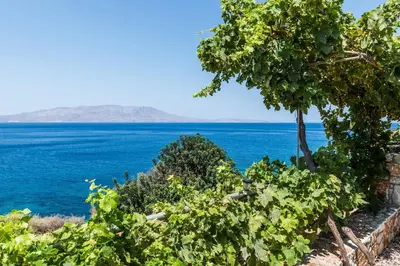 a view of the ocean from a vineyard at House with Private Place To Swim, Solitary, View in Ravdhoúkha