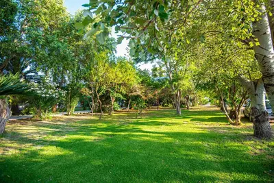 a park with green grass and trees in a park at On the sand 2 in Palaiochóra