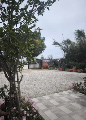a garden with a tree and some flowers at Alexia Rooms in Palaiochóra