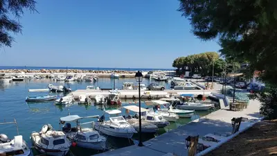 a bunch of boats docked in a harbor at Filia Luxury Apartments in Chania Town