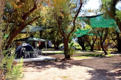 a tent and chairs in a park with trees at Camping Mithimna in Kissamos