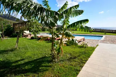 a palm tree in the grass next to a swimming pool at Villa Kore Elafonissi in Ãyios FÃ³tios