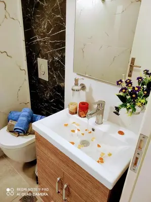 a bathroom with a sink and a toilet at Apolafsi Apartments 1New with kitchen in Chania Town