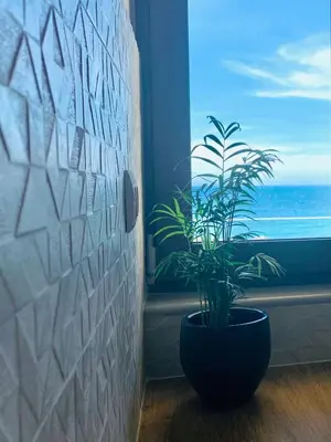 a potted plant in front of a window with the ocean at Zonapartments B sea view- city center in Chania Town