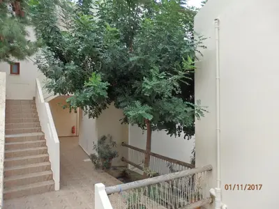 a tree on the side of a building with stairs at Ravdoucha Beach Studios in Ravdhoúkha