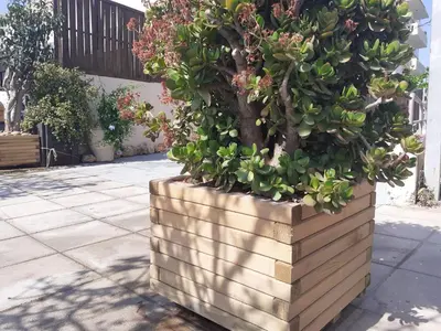 a potted tree in a wooden planter on a sidewalk at House escape in Chania Town