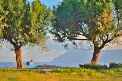 two trees in a field with a boat in the water at Girogiali Apts in Kissamos