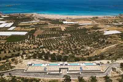 an aerial view of a vineyard near the ocean at Falasarna village in Falasarna