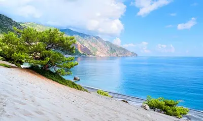 a tree on the side of a beach next to the water at Orientem Villa Heated Pool in Georgioupoli
