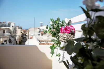 a pink flower in a basket on a wall at Nikis Apartment 2 in Chania Town
