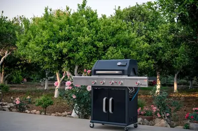 a grill in front of a garden with trees at Villa Pervoli in Varípetron