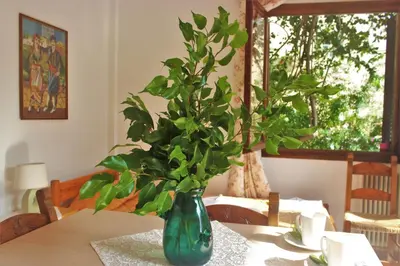 a green vase sitting on a table with a plant at Maria's Apartments in Kalyves