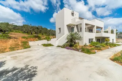 a white house with a driveway at Villa Oliveto in Tavronitis