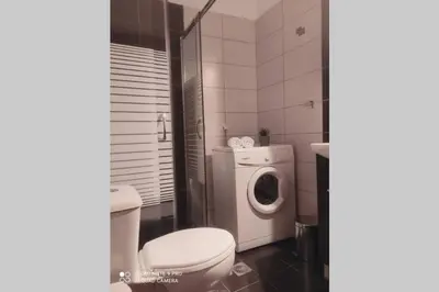 a bathroom with a toilet and a washing machine at Georgia's Village House in Kaláthenai