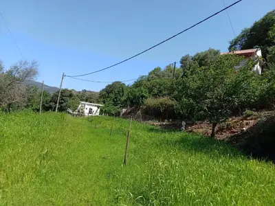 a field of green grass with a house in the background at Angel Villa in Strovlés