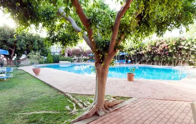 a tree in front of a swimming pool at Lili Apartments,oasis 2,5 km from Hania center in Parigoría