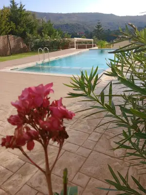 a pink flower in front of a swimming pool at Villa Dedalos in Kalamitsi Amygdali