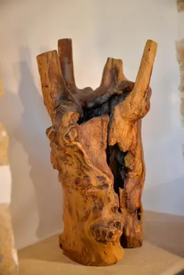 a piece of drift wood with horns on a table at VAMA APARTMENT in Plataniás