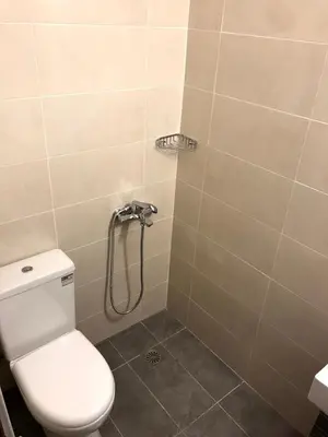 a bathroom with a toilet and a shower at Tasoula's Beachside Rooms in Palaiochóra