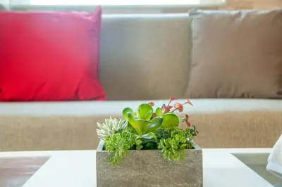 a potted plant on a table in front of a couch at jenny's flat near the sea in Galatás