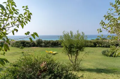a yellow plane sitting in a field near the ocean at Sunset Villas in Falasarna