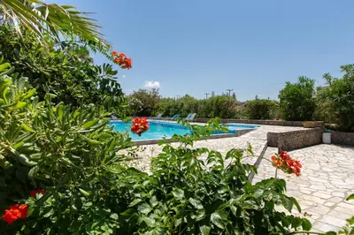 a view of a swimming pool with red flowers at Ohana in Kamisianá