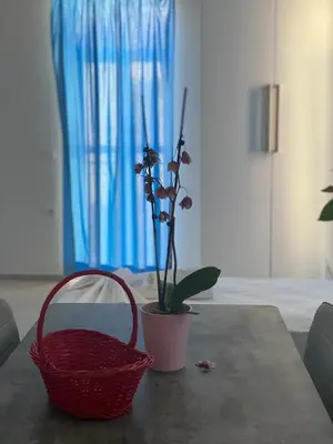 a table with a basket and a potted plant on it at Casa Argo in Chania Town