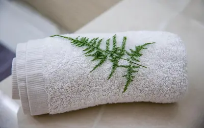 a roll of toilet paper with a green plant on it at Belle Verte City Chania in Chania Town