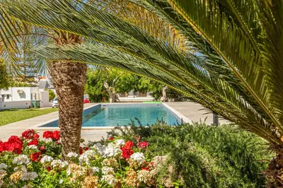 a palm tree and some flowers and a swimming pool at CHRISTINE SEASIDE APARTMENTS IN CHANIA in Stalos