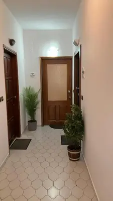 a hallway with two potted plants in front of a door at Sea View House in Kissamos