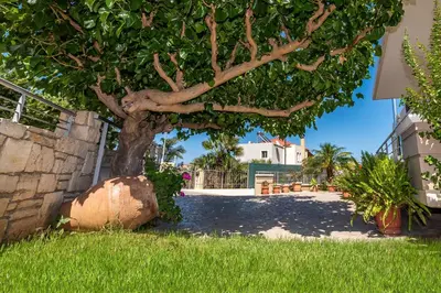 a tree in the grass next to a building at Villa Alexandra in Kolymvari