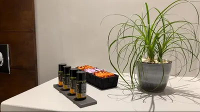 a potted plant sitting next to a row of wine bottles at Effrosini Panorama View in Nopíyia