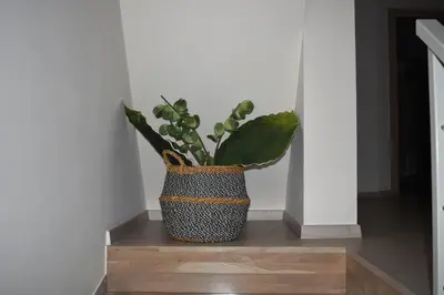a plant in a vase sitting on a table at Gallery Art Apartment Chania Crete in Chania Town