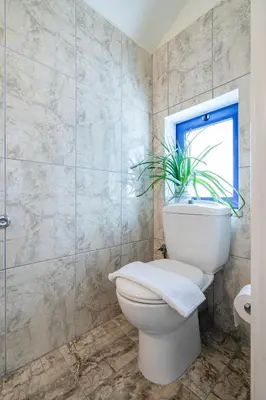 a bathroom with a toilet with a plant on top of it at Beach House Kalamaki steps away from the beach in Galatás